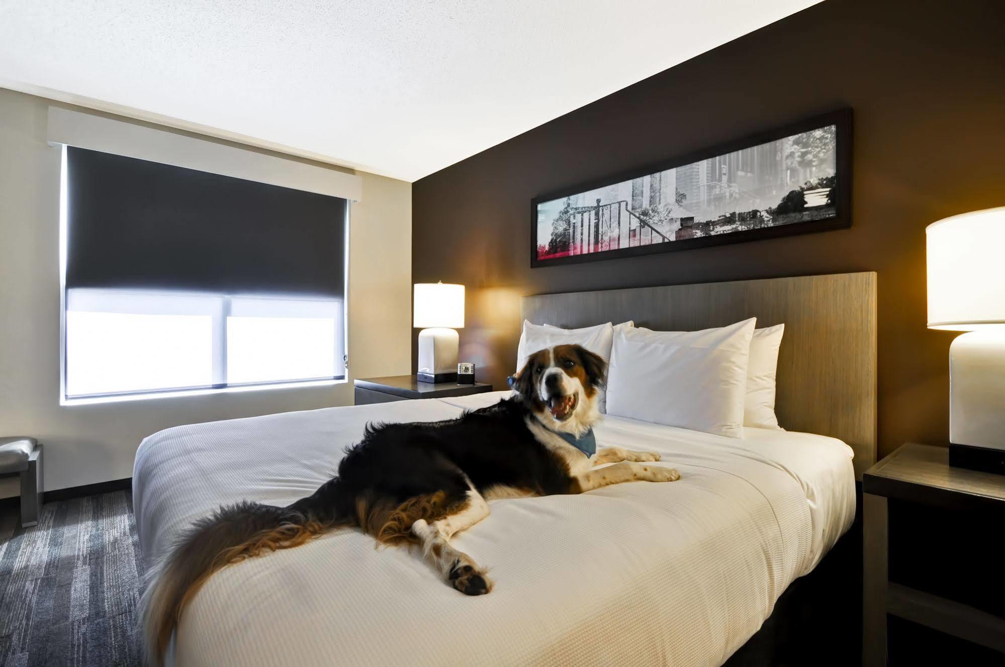 Hyatt House Atlanta Cobb Galleria Smyrna Extérieur photo